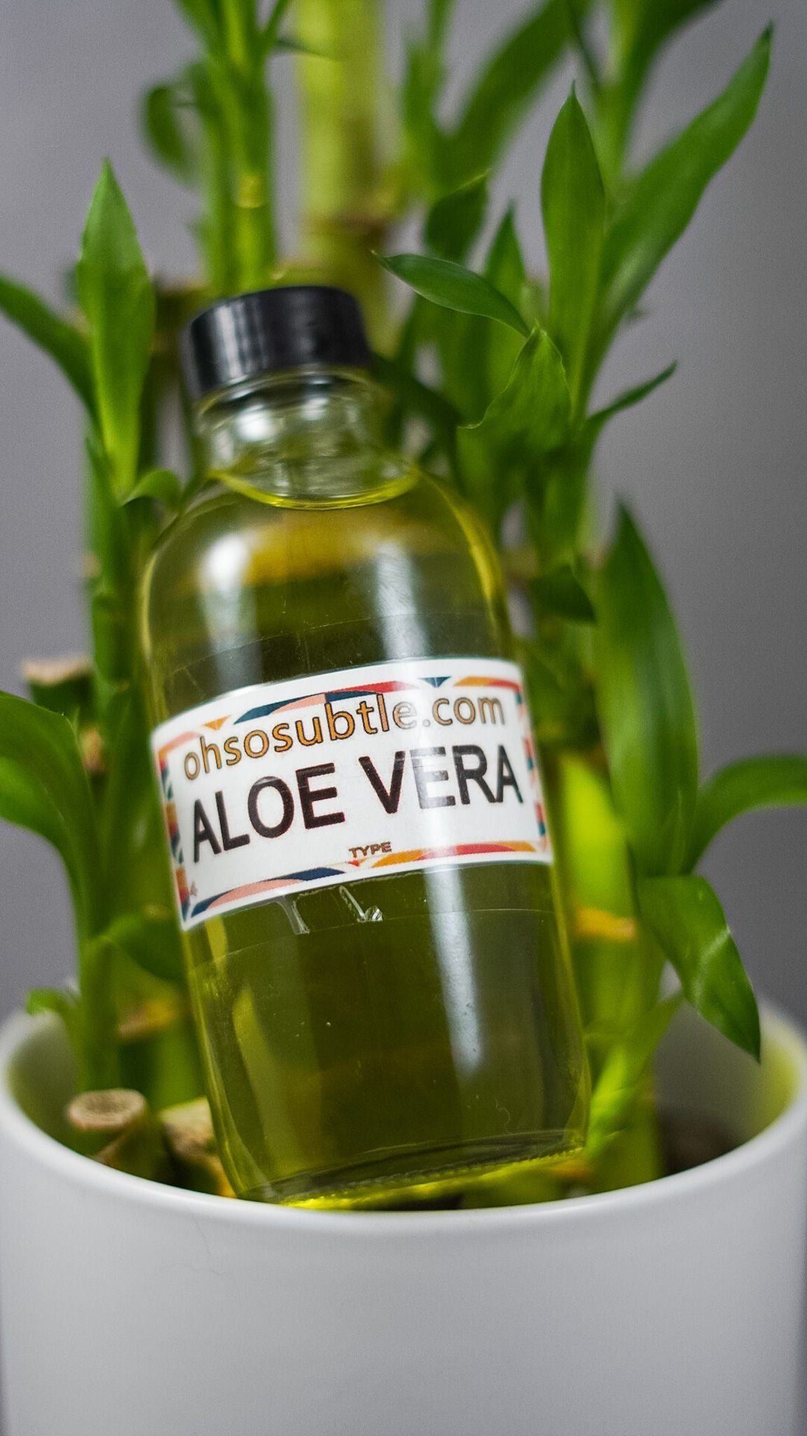 Aloe Vera