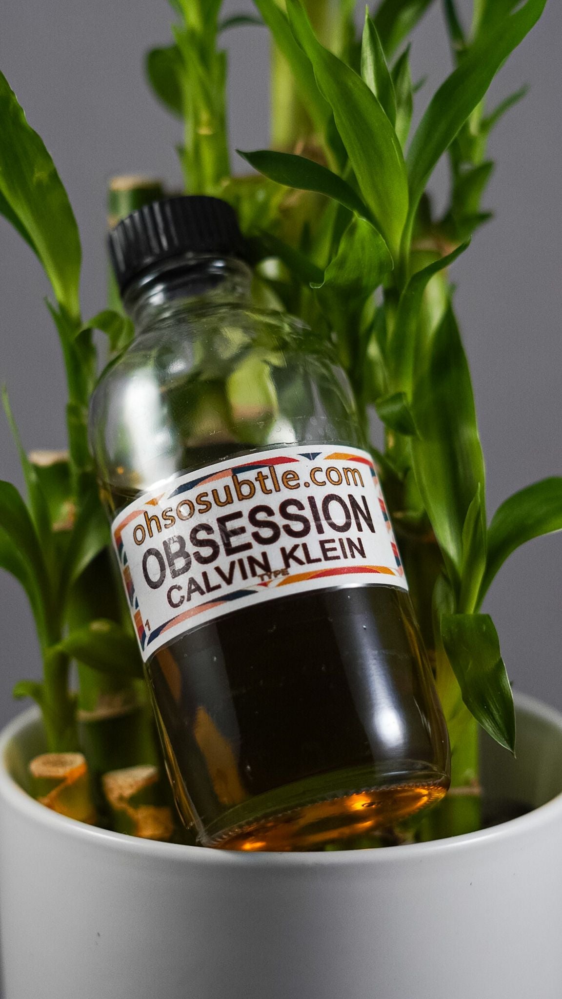 Our Impression of Obsession by Calvin Klein