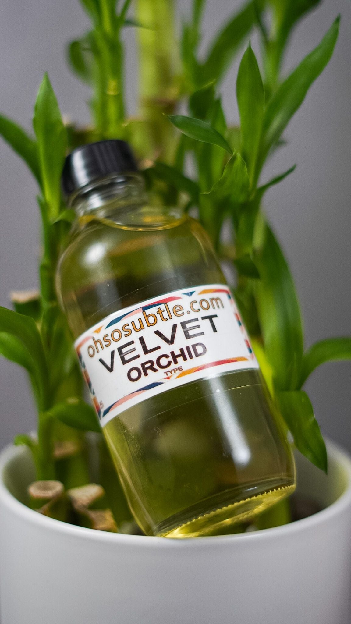 Our Impression of Velvet Orchid by Tom Ford