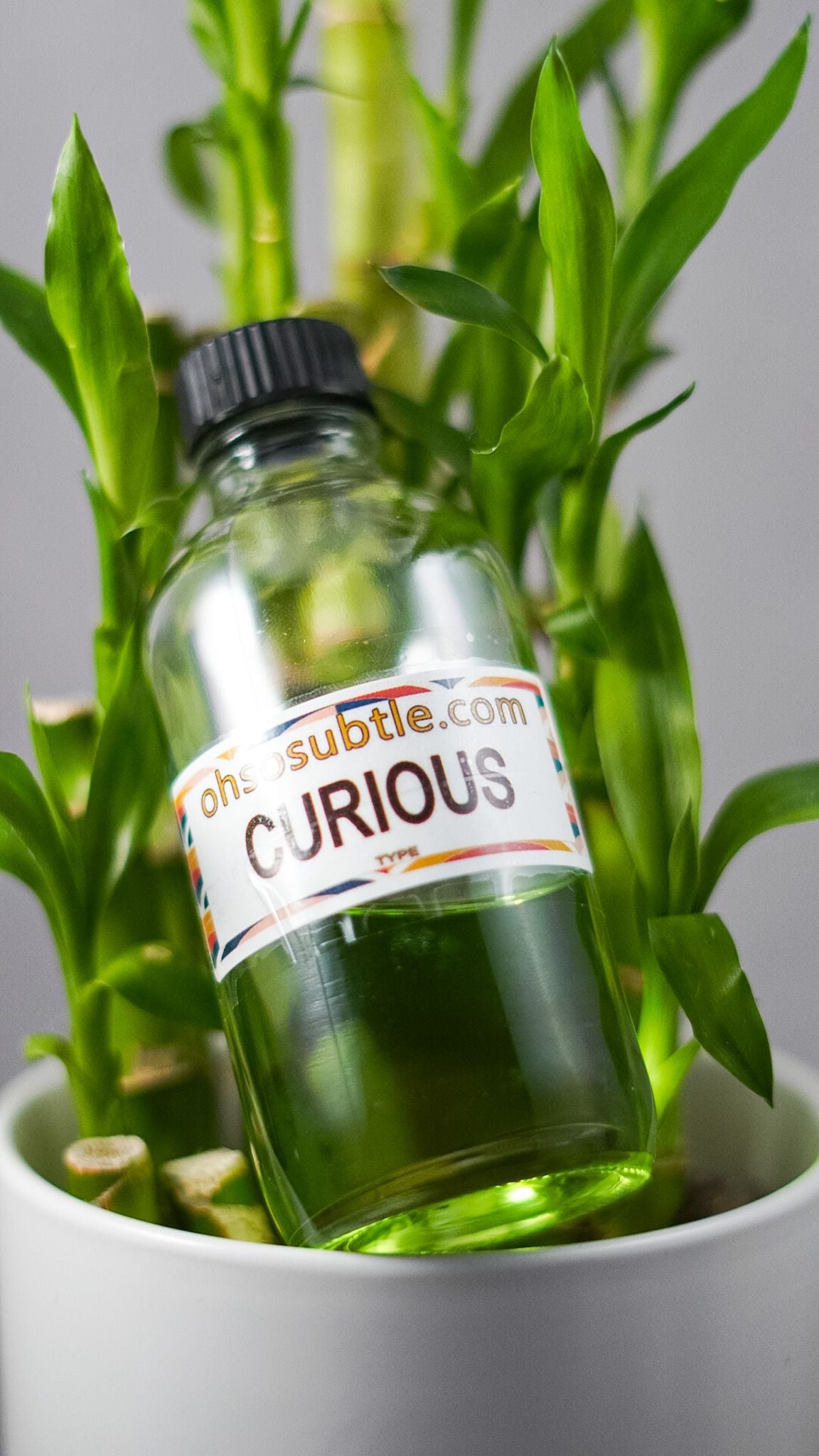 Our Impression of Curious