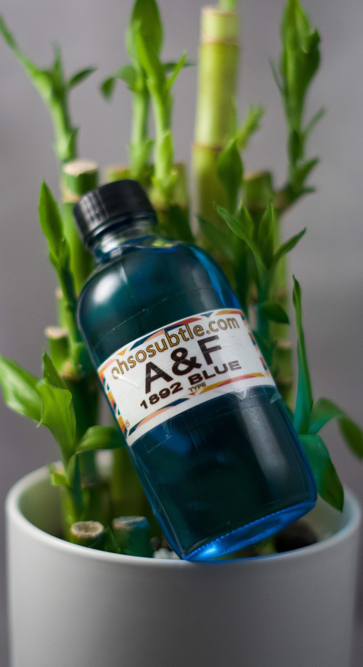 Our Impression of Abercombie and Fitch 1892 Blue