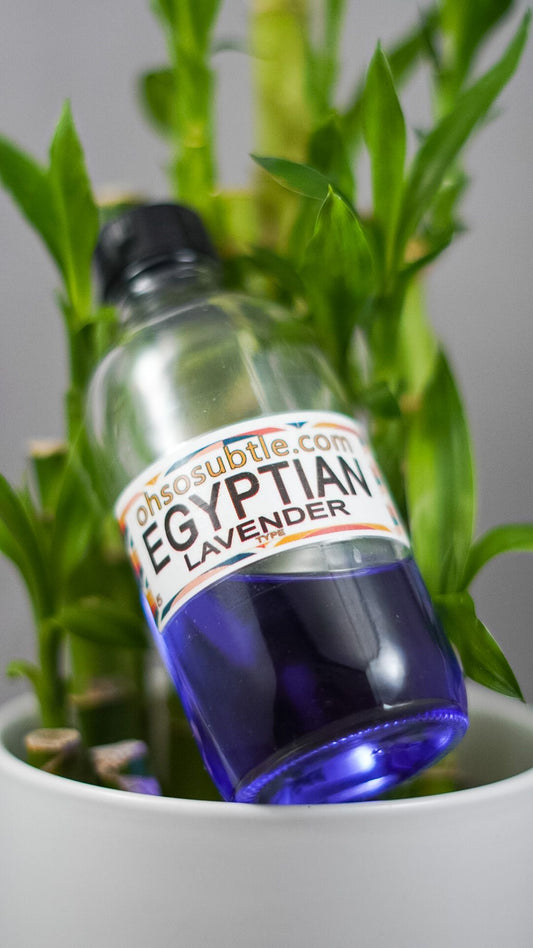 Our Impression of Egyptian Lavender